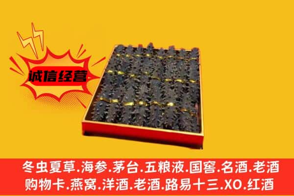 商城县回收海参